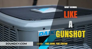 What Sounds Like a Gunshot: Identifying Startling Noises and Their Causes