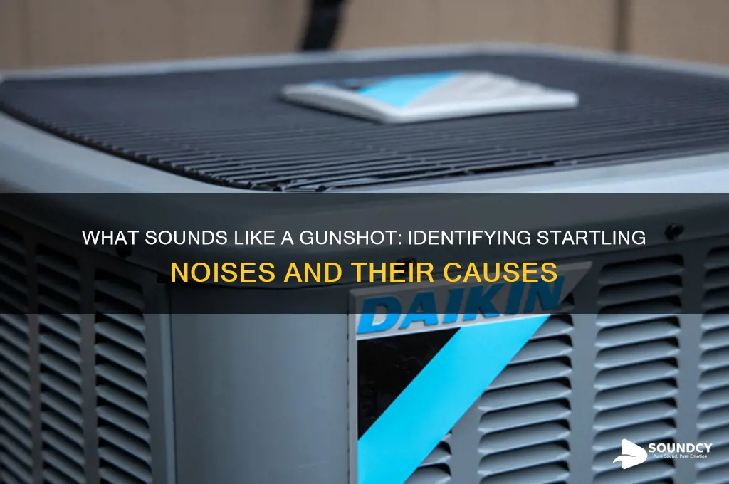 what sounds like a gunshot