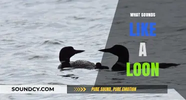 Unraveling the Mystical Call: What Sounds Like a Loon in Nature