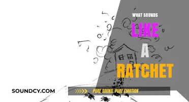 Unraveling the Noisy Mystery: What Sounds Like a Ratchet and Why