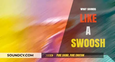 Unraveling the Mystery: What Sounds Like a Swoosh in Nature and Beyond