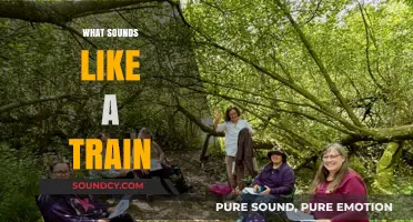 Unraveling the Mystery: What Sounds Like a Train in Nature and Beyond