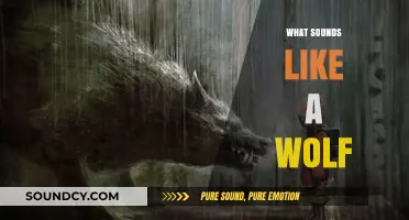 Unveiling the Wild: Sounds That Mimic a Wolf's Haunting Howl