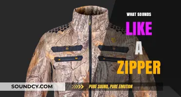Unzipping the Mystery: Exploring Everyday Sounds That Mimic a Zipper