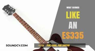 Guitars That Capture the Iconic Semi-Hollow ES-335 Sound