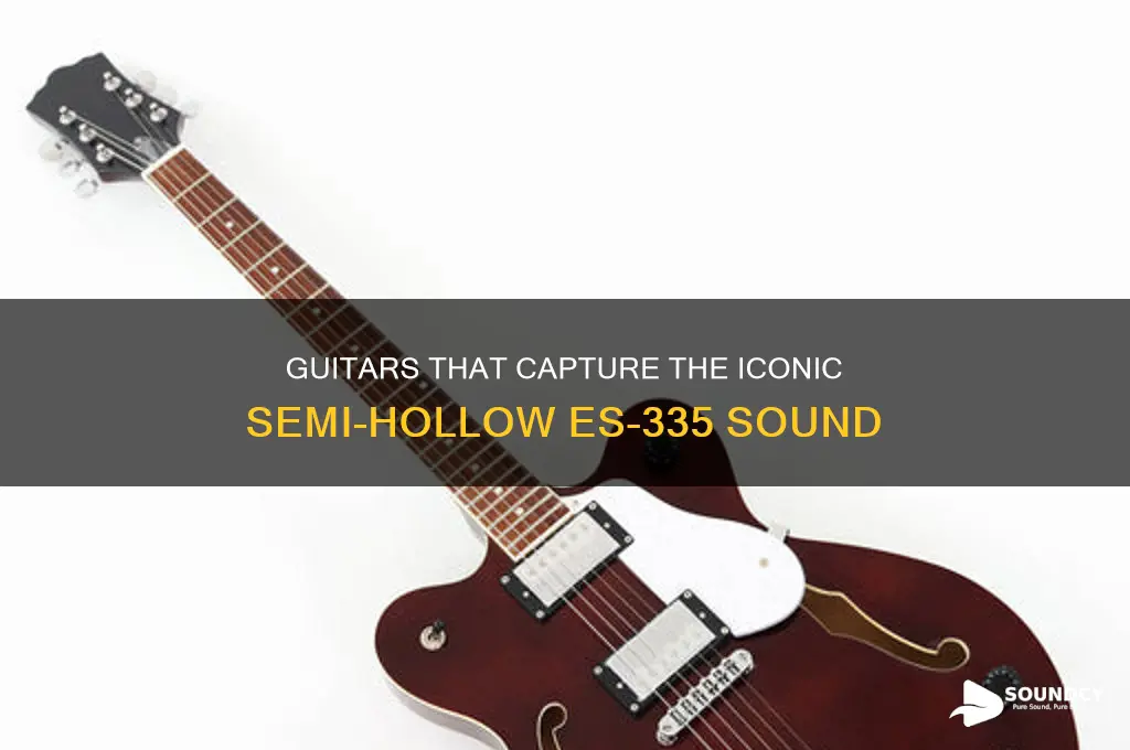 what sounds like an es335