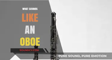 Unveiling the Oboe's Unique Sound: Instruments and Noises That Resemble It