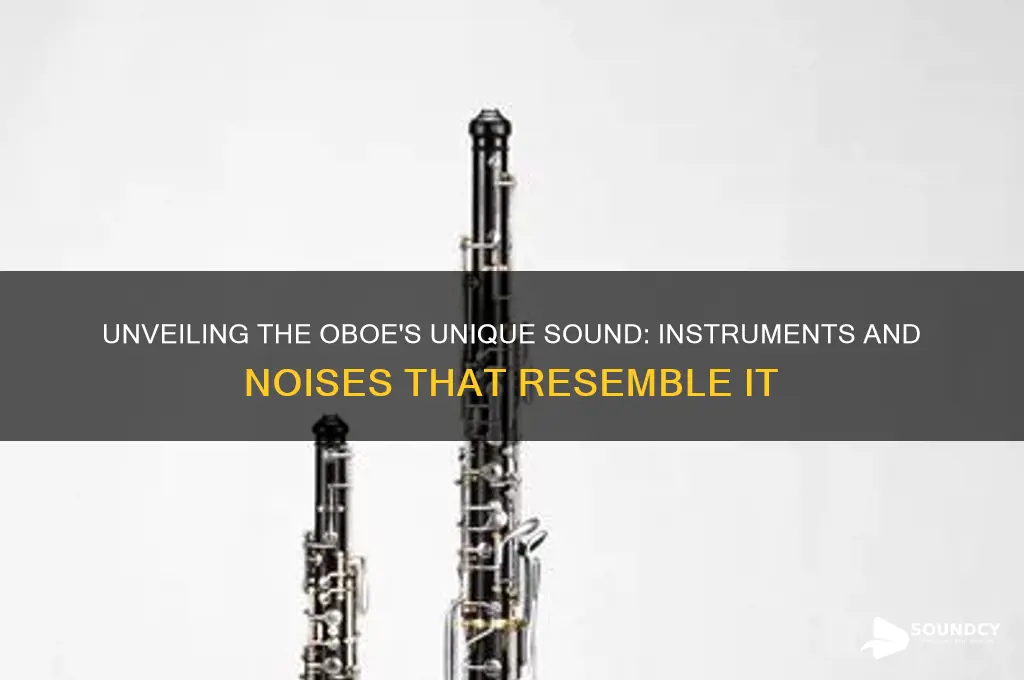 what sounds like an oboe