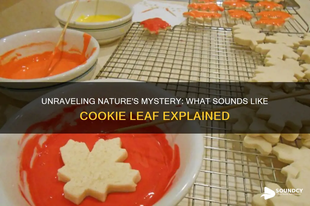 what sounds like cookie leaf
