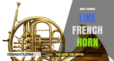 Unveiling the Rich, Warm Tones: Instruments That Mimic the French Horn's Sound