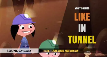 Echoes and Reverberations: Unraveling the Unique Sounds of Tunnels