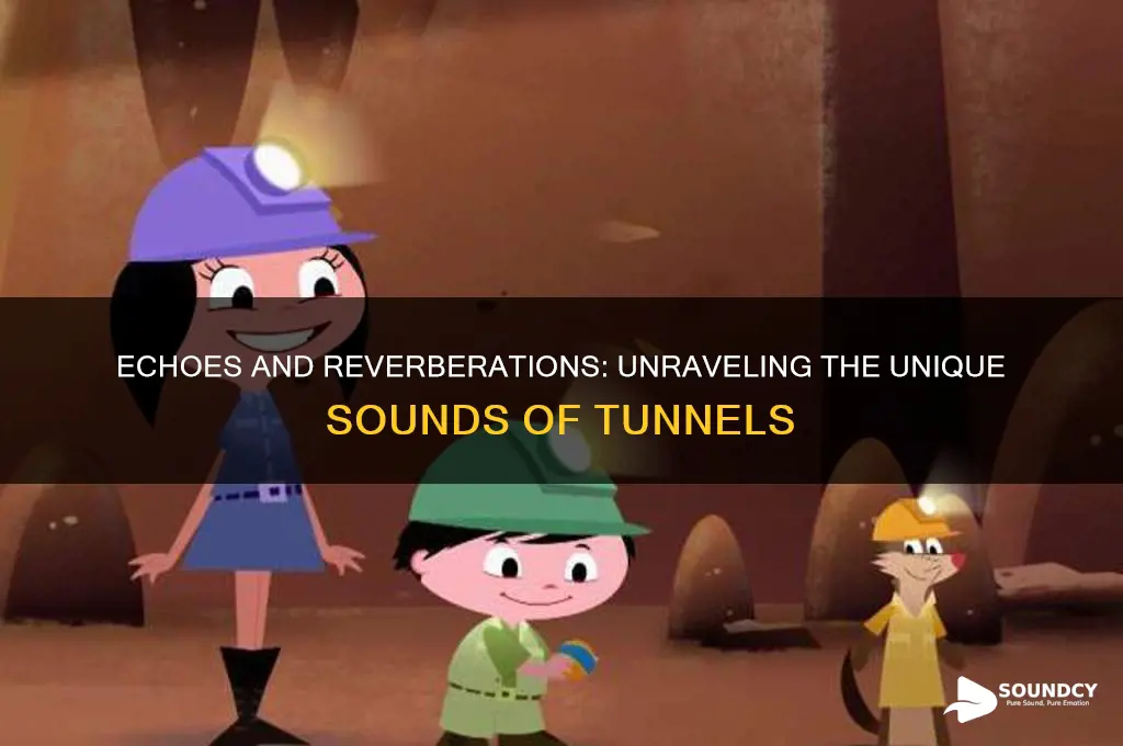 what sounds like in tunnel