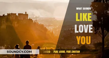 What Sounds Like Love to You? Exploring the Language of Affection