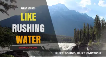 Unraveling the Mystery: What Sounds Like Rushing Water Explained