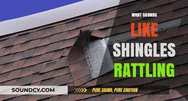Unusual Noises: What Sounds Like Shingles Rattling on Your Roof?