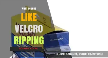 Unraveling the Mystery: What Sounds Like Velcro Ripping Explained