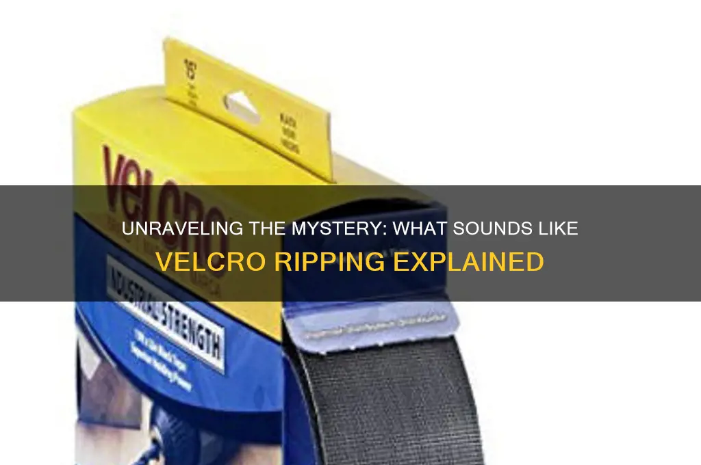 what sounds like velcro ripping