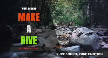 Exploring the Natural Symphony: What Sounds Make a River Come Alive?