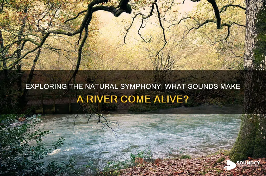 what sounds make a rive