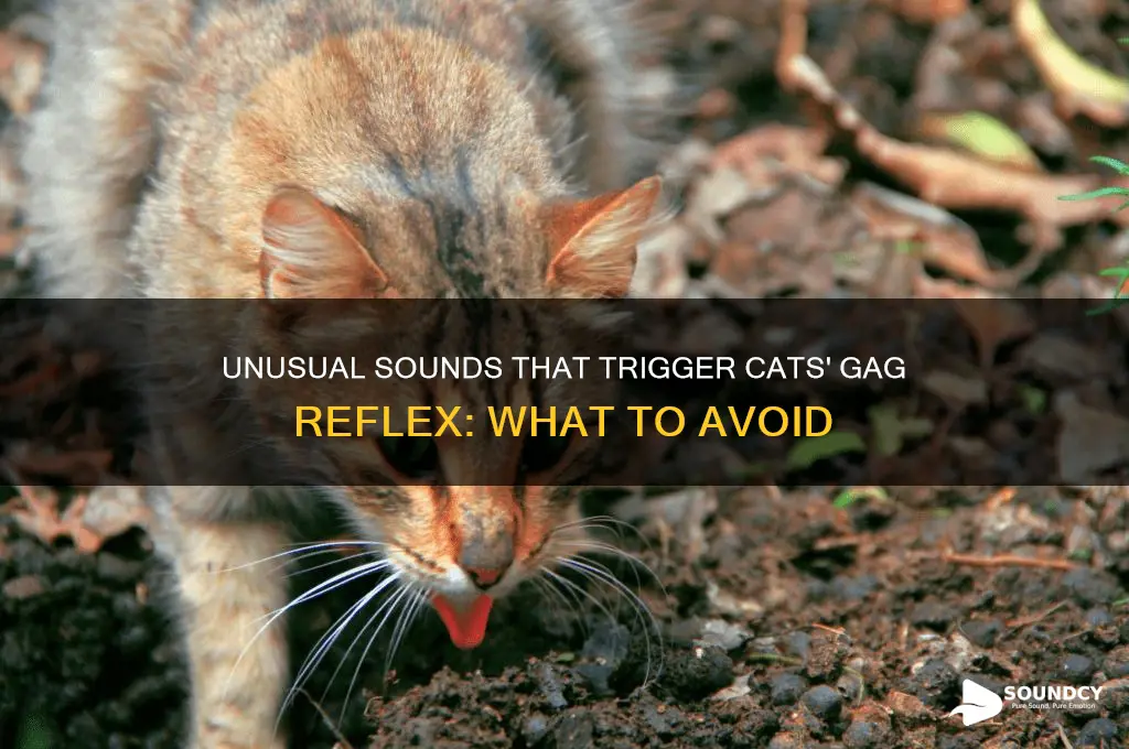 what sounds make cats gag
