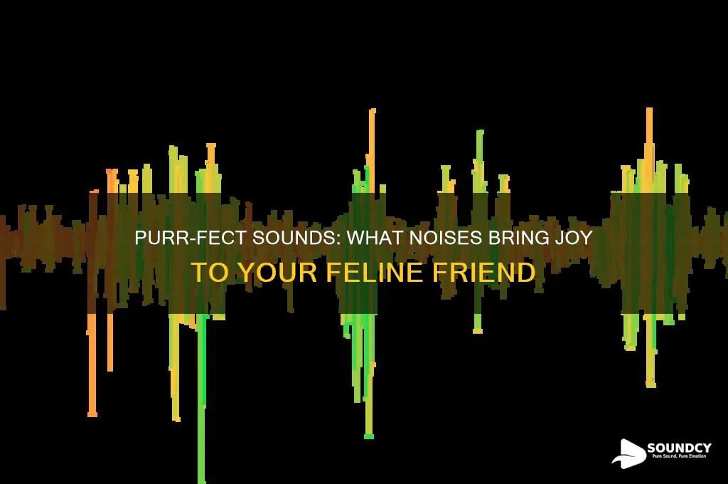 what sounds make cats happy