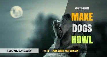 Why Do Dogs Howl? Uncovering the Sounds That Trigger Their Calls