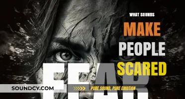 Unraveling Fear: The Chilling Sounds That Trigger Human Anxiety