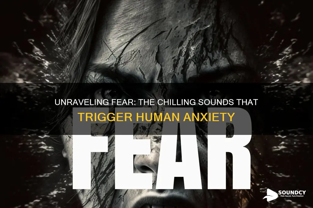 what sounds make people scared