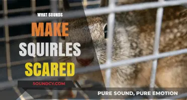 Unveiling the Sounds That Terrify Squirrels: A Comprehensive Guide