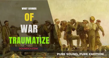 Echoes of Trauma: How War's Sounds Wound the Soul