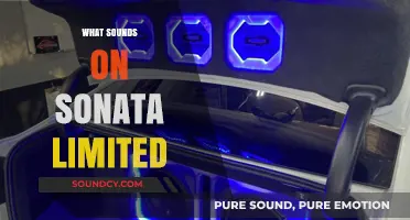Exploring the Premium Sounds of the Sonata Limited Edition