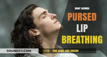 Mastering Pursed Lip Breathing: Techniques, Benefits, and Practical Tips