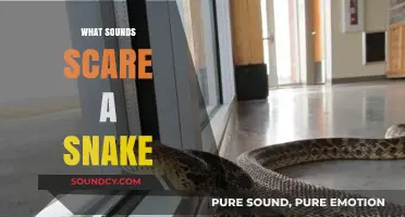 Unleash the Hiss: Sounds That Terrify Snakes and Keep Them Away