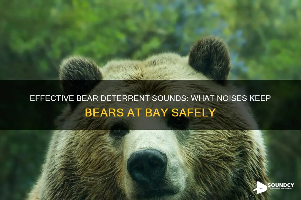 what sounds scare bears away