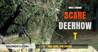 Sounds That Scare Deer: Effective Techniques to Keep Them Away