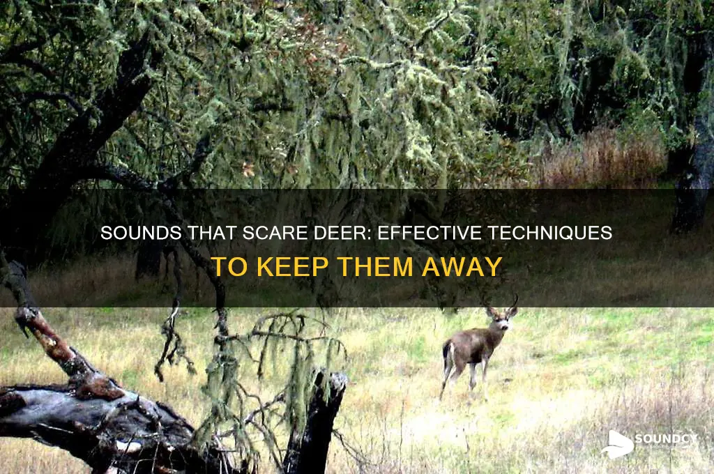 what sounds scare deerhow t