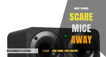 Effective Sounds to Repel Mice: Safe and Natural Deterrent Methods