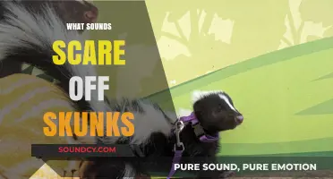 Effective Sounds to Safely Deter Skunks from Your Property