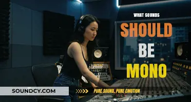Mono Mastery: Essential Sounds to Keep Single-Channel in Mixing