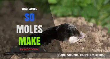 Unveiling the Mysterious Sounds: What Noises Do Moles Actually Make?