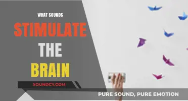 Unleashing Brain Power: Exploring Sounds That Boost Cognitive Stimulation