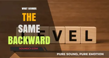 Palindromic Sounds: Words and Phrases That Echo Identically Backward