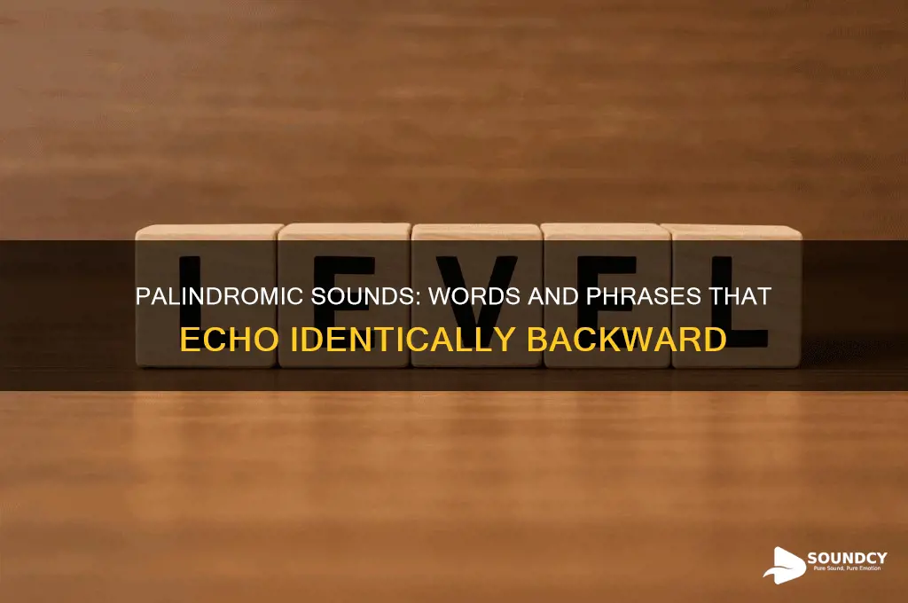 what sounds the same backward