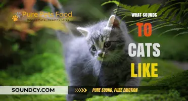 Decoding Cat Hearing: Understanding the Unique Sounds Cats Respond To
