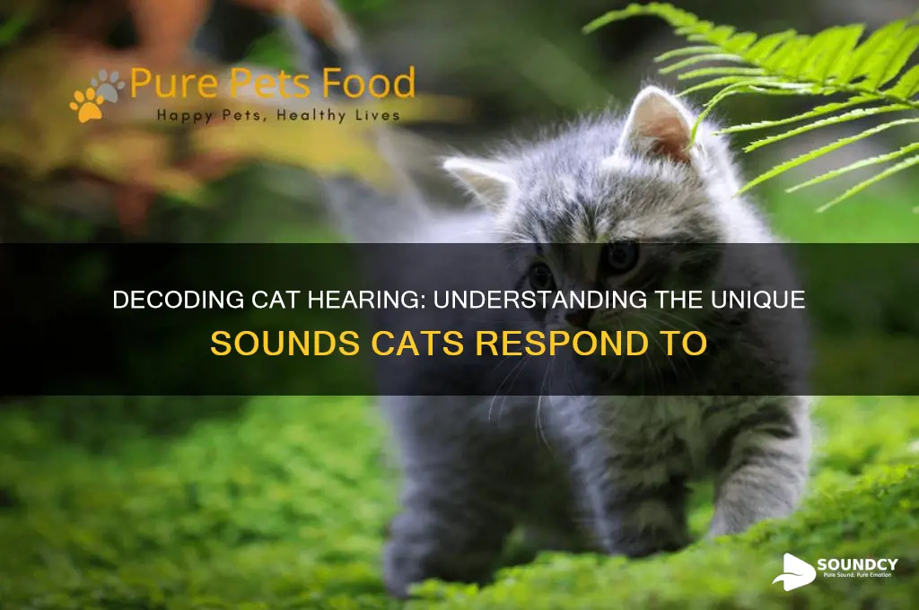 what sounds to cats like