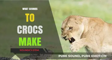 Unveiling the Mysterious Vocalizations: What Sounds Do Crocs Make?