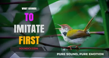 Mastering Mimicry: Essential Sounds to Imitate for Beginners