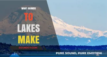 Listening to Lakes: Unveiling the Serene Sounds of Still Waters