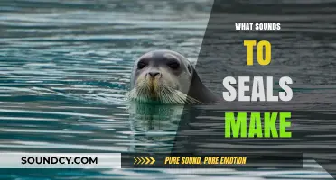 Unveiling the Unique Vocalizations: What Sounds Do Seals Make?