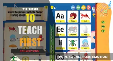Essential First Sounds: A Beginner's Guide to Early Phonics Teaching